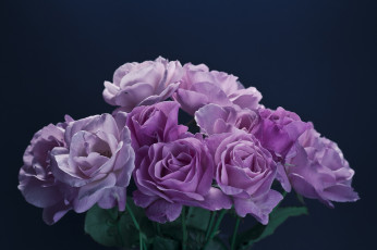 Картинка цветы розы букет