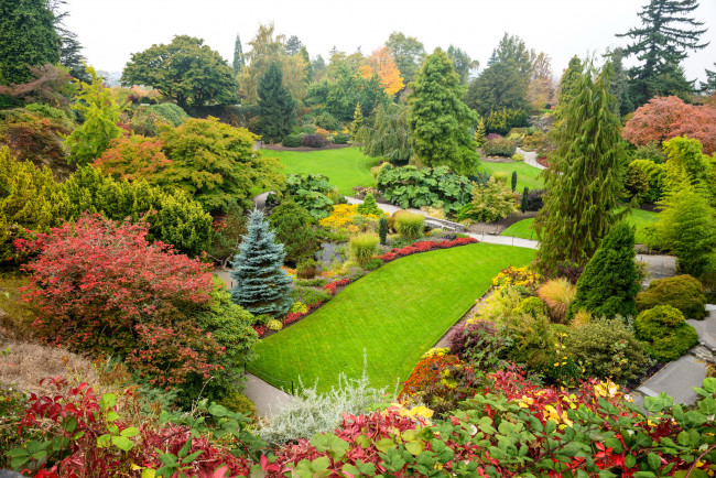 Обои картинки фото queen elizabeth park vancouver, природа, парк, elizabeth, queen, кусты, клумбы, трава, деревья, цветы, vancouver, park