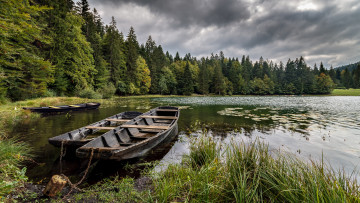 Картинка корабли лодки +шлюпки плоскодонки река лес