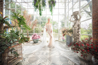 Картинка девушки -unsort+ невесты невеста платье праздник свадьба красотка