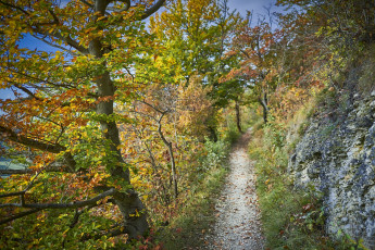 Картинка природа дороги простор