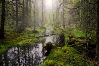 Картинка природа реки озера простор