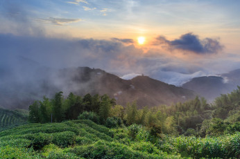 Картинка природа пейзажи простор