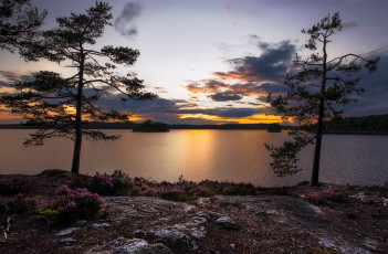 Картинка природа реки озера простор