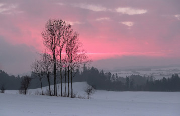 Картинка природа зима зарево деревья снег