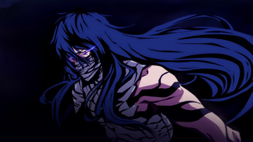 Картинка аниме bleach ичиго