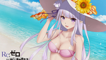 Картинка аниме re +zero+kara+hajimeru+isekai+seikatsu эмилия