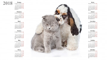 Картинка календари животные кошка собака белый фон