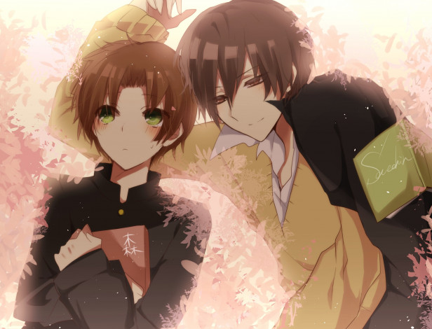 Обои картинки фото аниме, sekai ichi hatsukoi, парни