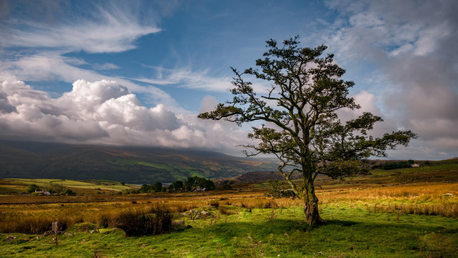 Обои картинки фото природа, пейзажи, простор