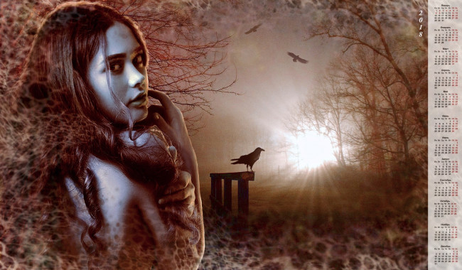 Обои картинки фото календари, компьютерный дизайн, птица, взгляд, девушка