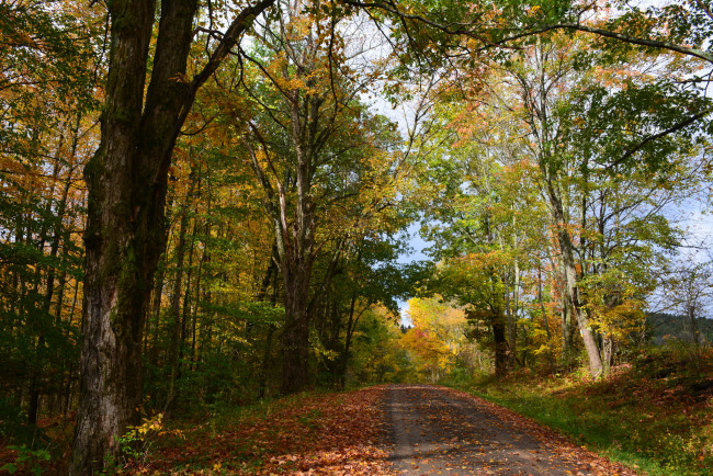 Обои картинки фото природа, дороги, простор