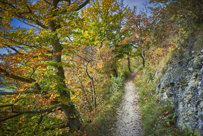 Обои картинки фото природа, дороги, простор