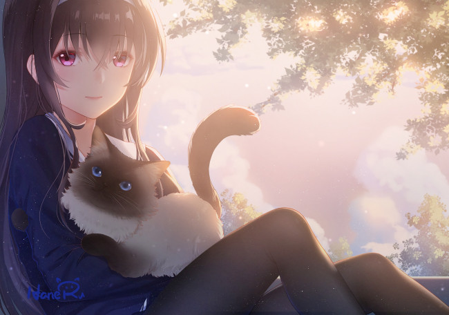 Обои картинки фото аниме, saenai heroine no sodatekata, saenai, heroine, no, sodatekata