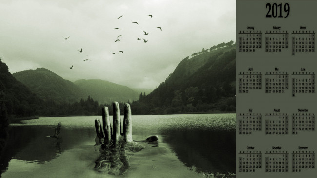 Обои картинки фото календари, компьютерный дизайн, рука, водоем, природа, птица