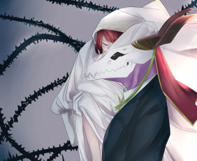 обоя аниме, mahou tsukai no yome, невеста, чародея