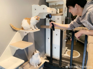 Картинка мужчины wang+hao+xuan ван хаосюань wang hao xuan