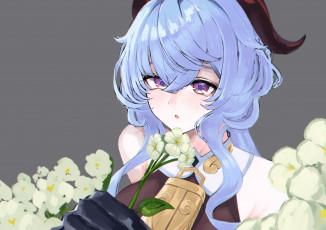 Картинка аниме genshin+impact genshin impact