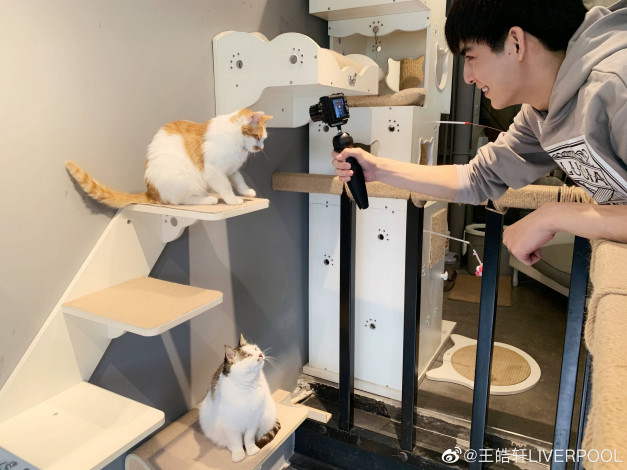 Обои картинки фото мужчины, wang hao xuan, ван, хаосюань, wang, hao, xuan