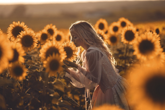 Обои картинки фото девушки, - блондинки,  светловолосые, блондинка, подсолнухи