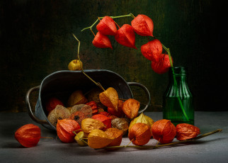 обоя разное, предметы быта, натюрморт