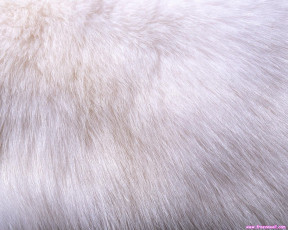 Картинка разное