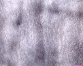 Картинка разное