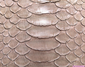 Картинка разное