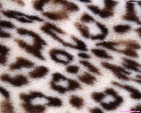 Картинка разное