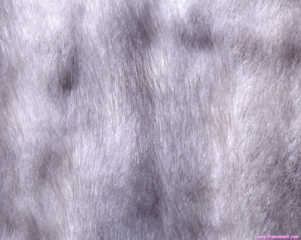 Обои картинки фото разное