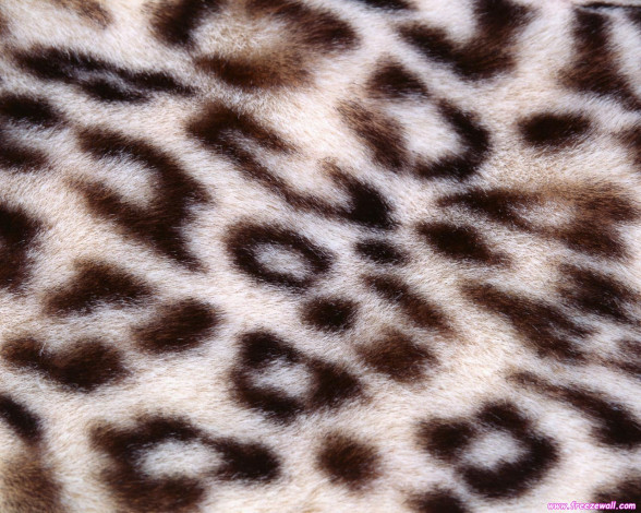 Обои картинки фото разное