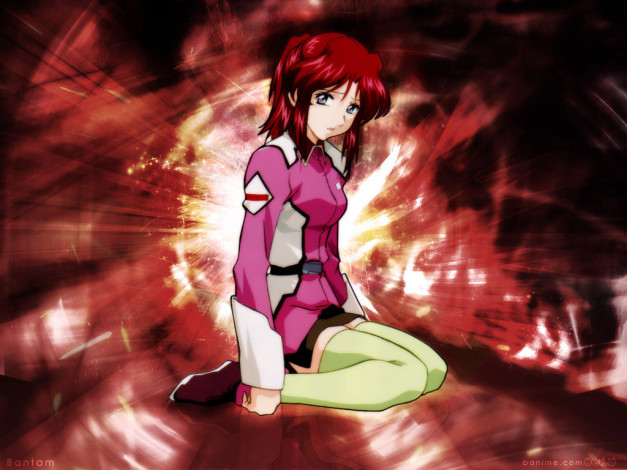 Обои картинки фото аниме, vandread