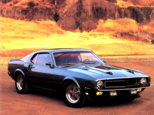 Обои картинки фото автомобили, ford