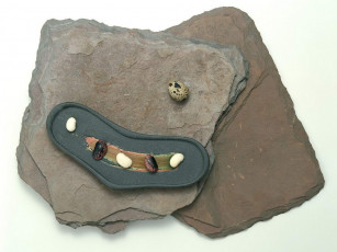 Картинка еда крупы зерно специи семечки