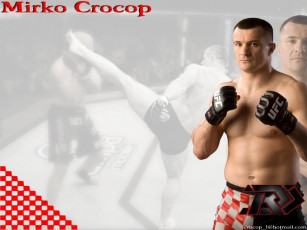 Картинка спорт mix fight