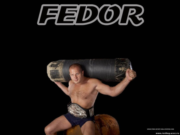 Обои картинки фото спорт, mix, fight