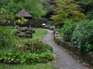 Картинка природа парк кусты осень беседка дорожка