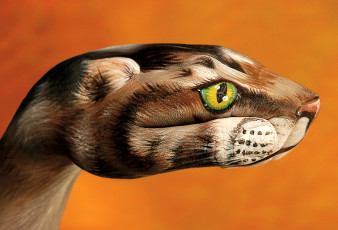 Картинка hand painting by guido daniel разное руки