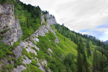 Картинка природа горы облака небо деревья