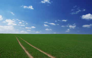 Картинка природа дороги поле небо
