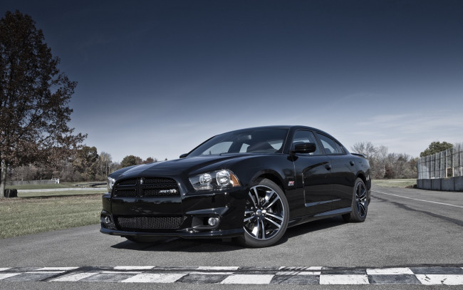 Обои картинки фото dodge, charger, srt8, super, bee, 2012, автомобили