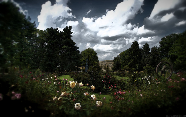 Обои картинки фото рисованные, природа, розовый, сад