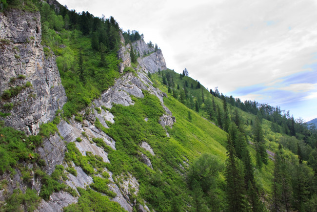 Обои картинки фото природа, горы, облака, небо, деревья