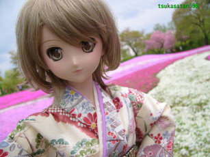 Картинка разное игрушки кукла