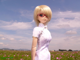 Картинка разное игрушки кукла поле