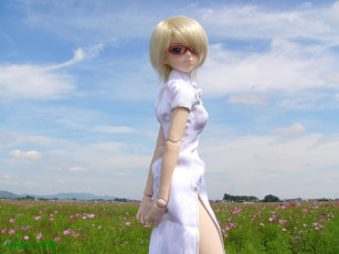 Картинка разное игрушки кукла поле