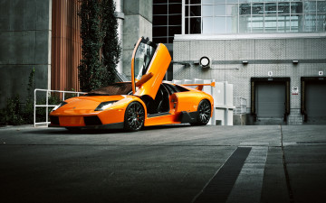 обоя автомобили, lamborghini
