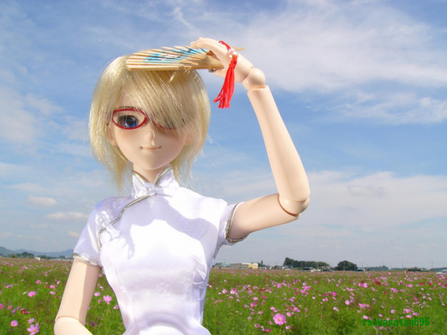 Обои картинки фото разное, игрушки, кукла, поле