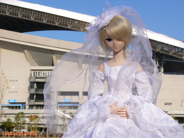 Обои картинки фото разное, игрушки, невеста, кукла