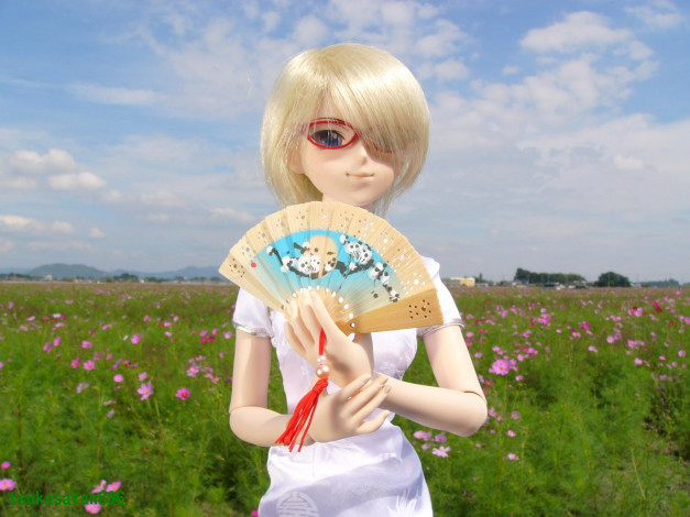 Обои картинки фото разное, игрушки, поле, кукла